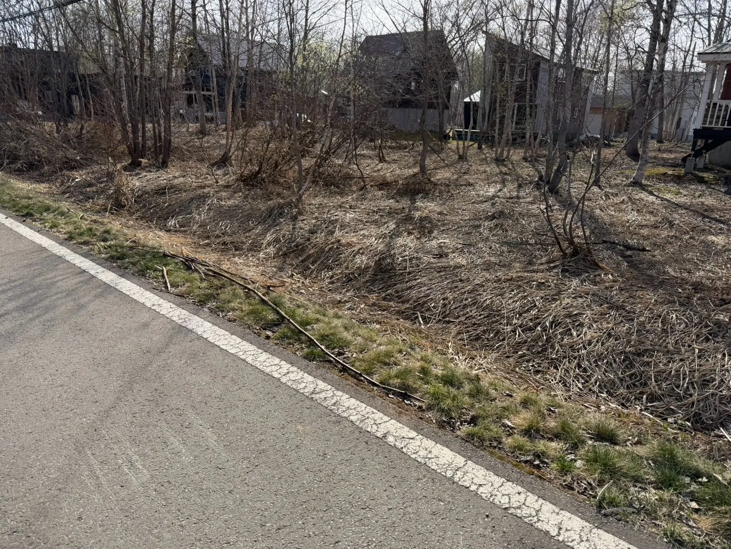 注文住宅の土地樹木伐採と整地の基本作業